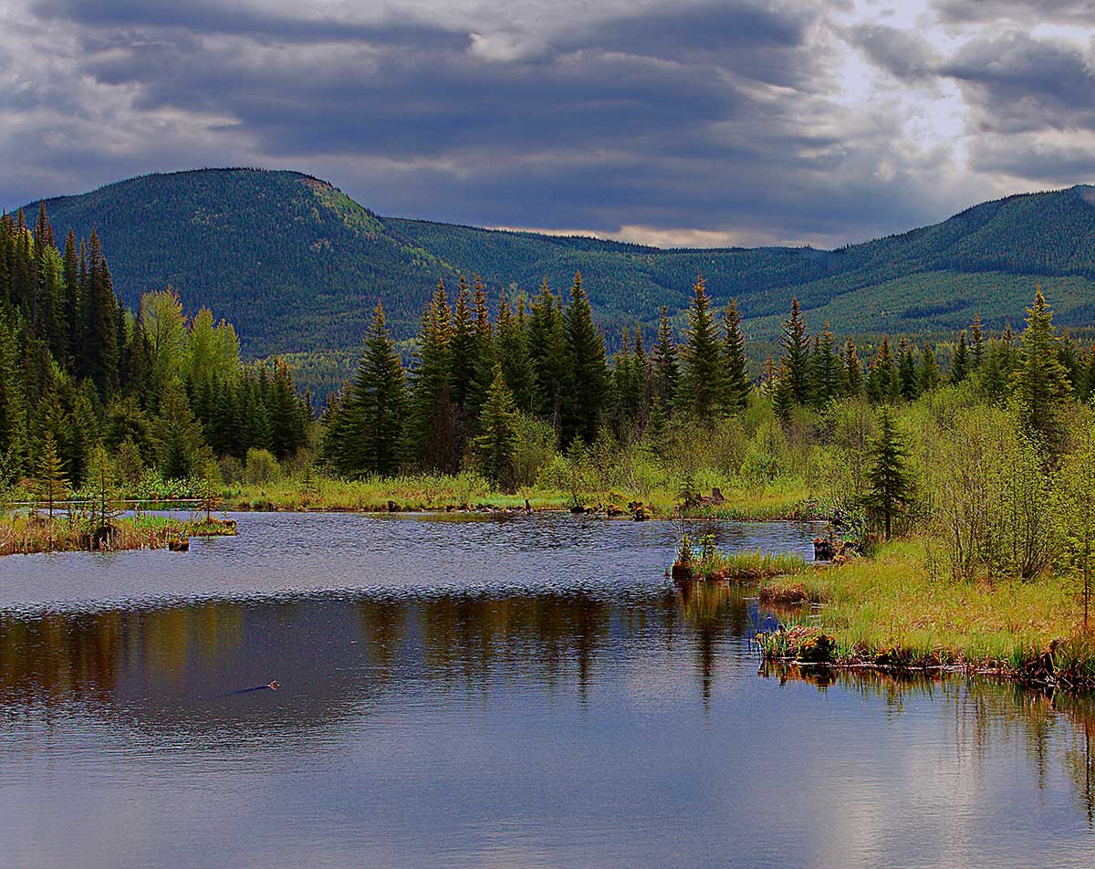 tumbler ridge museum